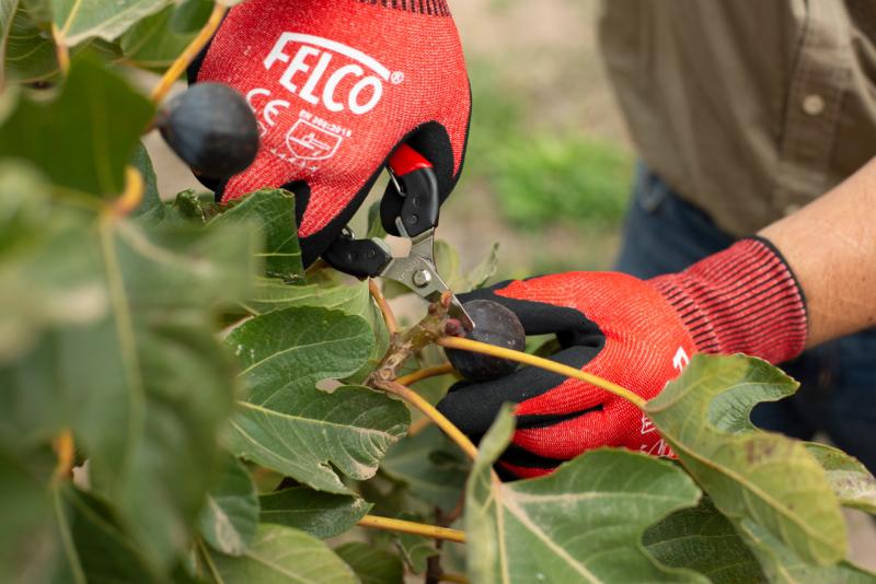 FELCO 320 - Image 4